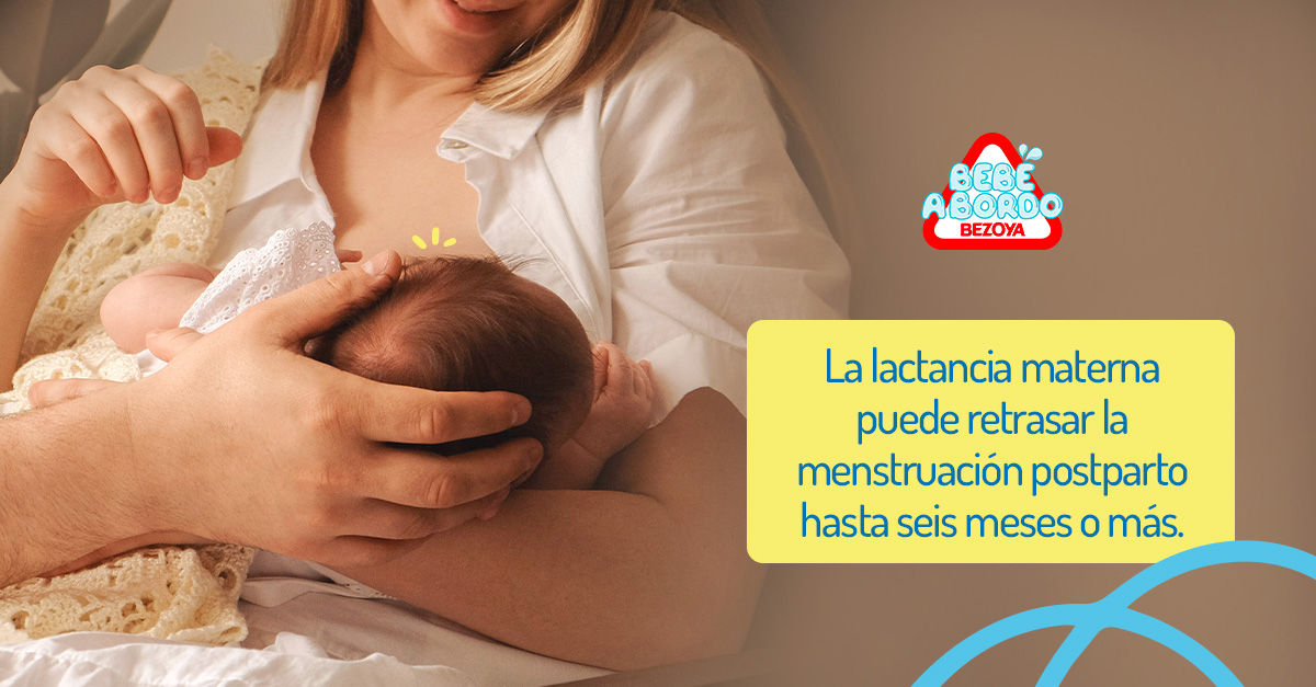 La lactancia materna puede retrasar la menstruación postparto hasta seis meses o más 