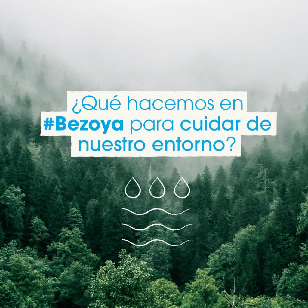 ¿Qué Es La Sostenibilidad Ambiental Y Por Qué Es Tan Importante Para El ...